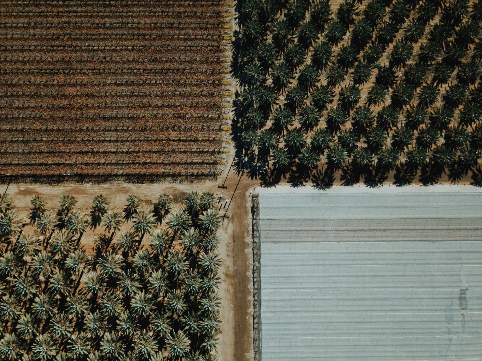 Parcelle agricole cartographiée par drone multispectral
